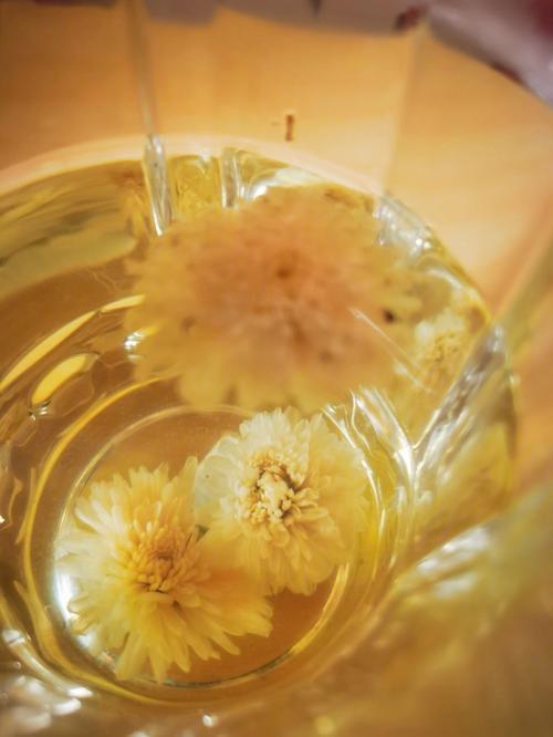 菊花茶的泡法,菊花泡水喝的功效与作用