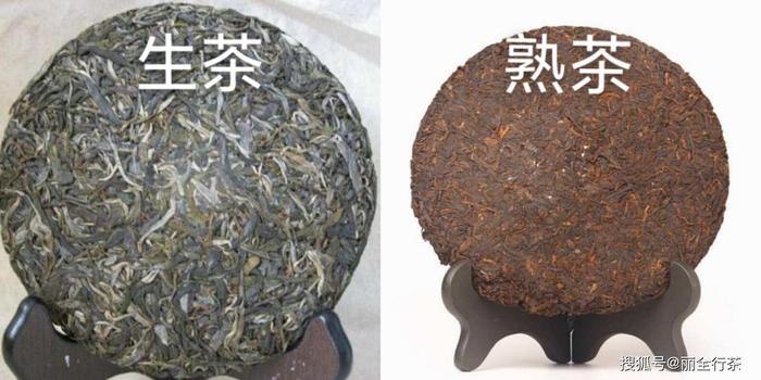 普洱生茶是红茶吗,普洱生茶和熟茶属于红茶还是绿茶
