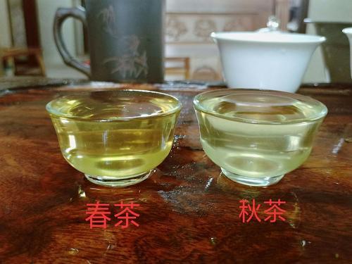 绿茶的名称,绿茶的发酵度0度故属于不发酵茶类其茶叶颜色