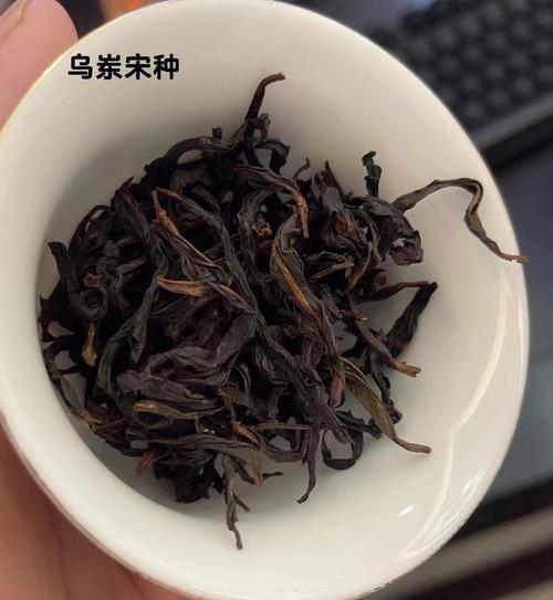 单丛茶有几种品种,哪种最好