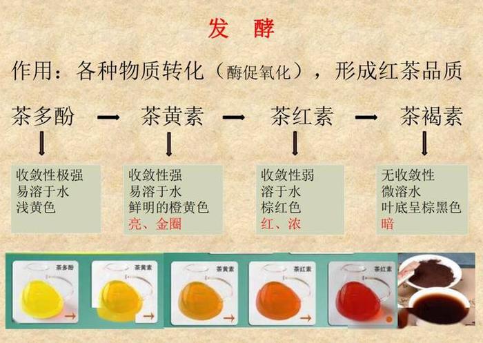 茶叶发酵原理是什么