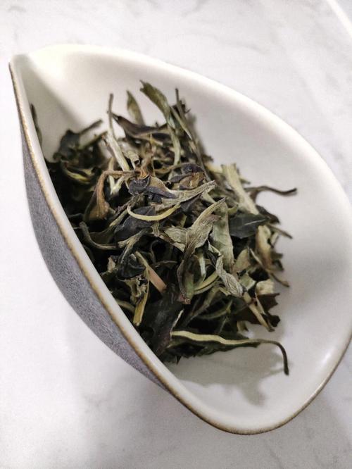 云南白芽茶是什么茶类