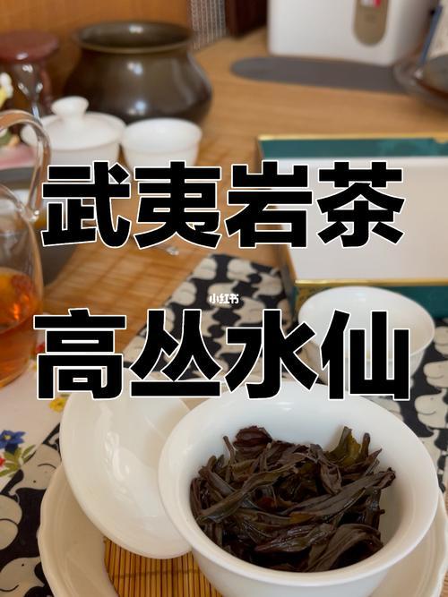 武夷岩茶可以煮着喝吗