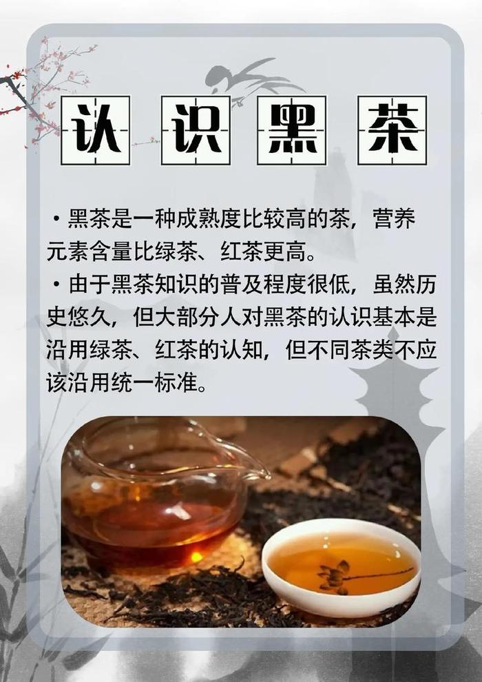 什么茶属于黑茶系列