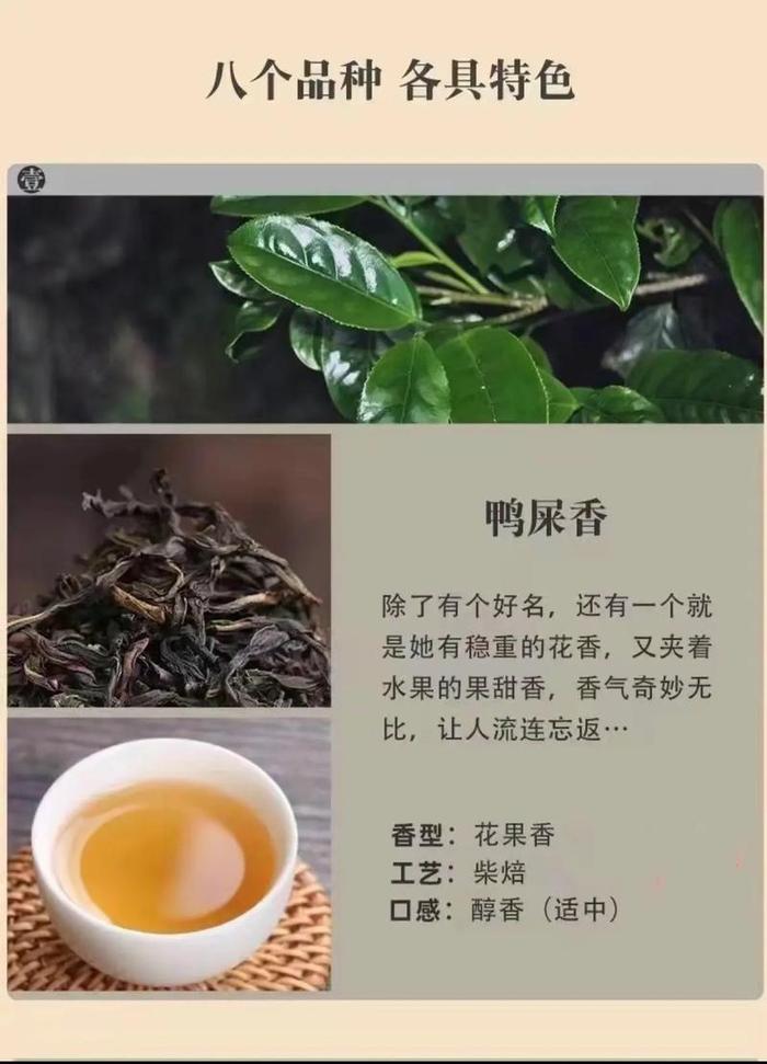 凤凰单丛茶有几种香型