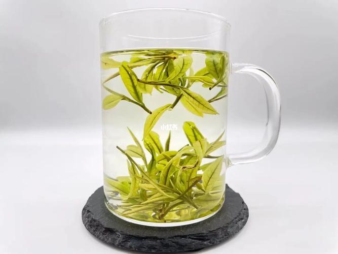 夏天10种绿茶最好喝的品种