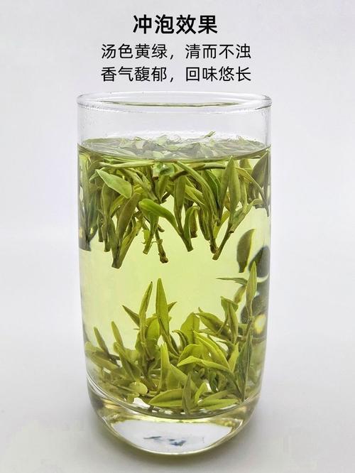 安徽黄山的茶叶最著名的是