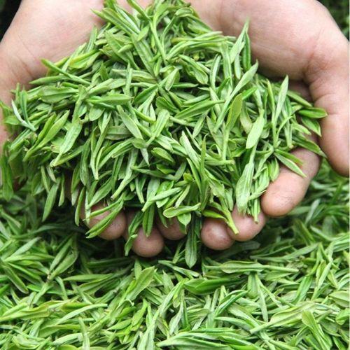 安徽产茶叶品种有哪些