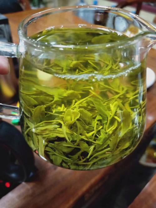 2022年日照绿茶多少钱一斤,日照绿茶多少钱一斤的比较好