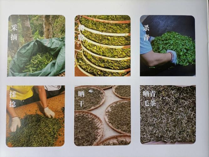 普洱茶的储存方法和条件是什么