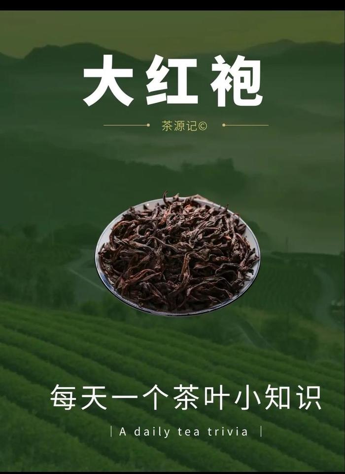 茶叶大红袍的功效与作用