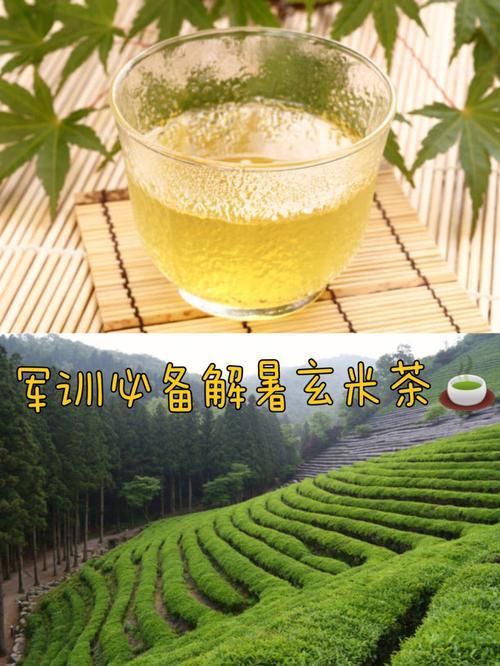 玄米绿茶的功效与禁忌是什么