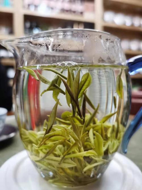 什么绿茶比较好喝一点