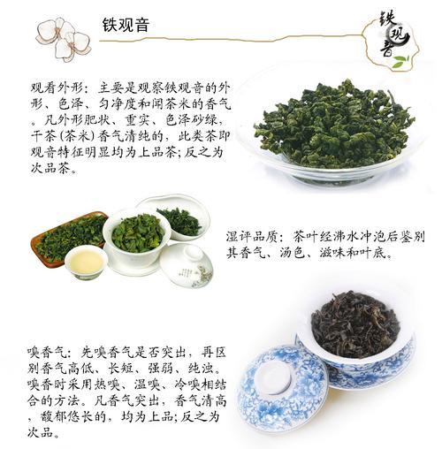 铁观音茶是绿茶吗它有什么功效和作用