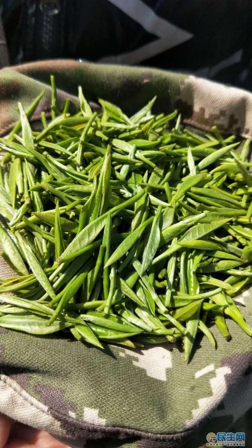 安徽茶叶品种有哪些