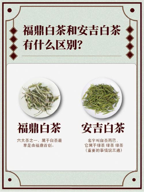 安吉白茶和福鼎白茶的功效区别是什么