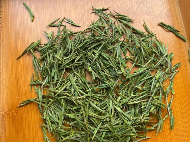 安吉白茶最贵的多少钱一斤