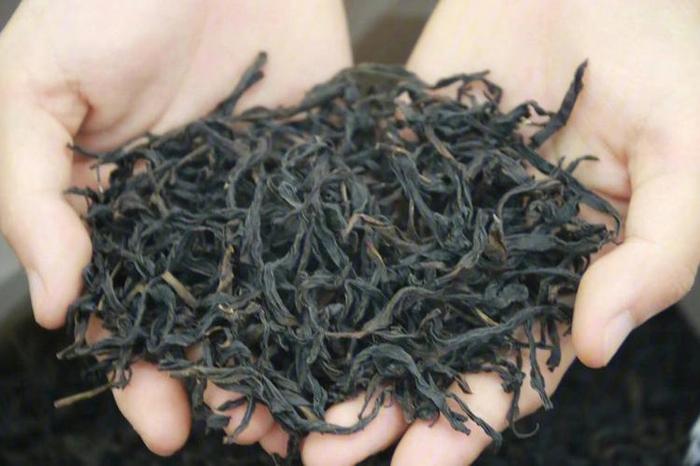 单丛茶有多少品种,200多种单丛茶名称