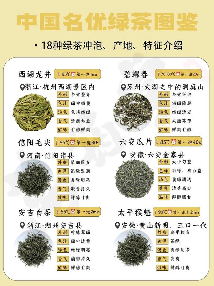 绿茶都有哪几种茶