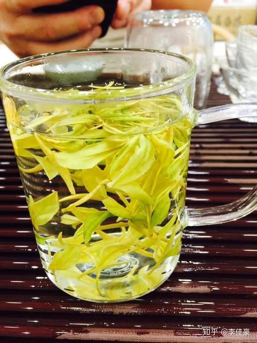 三高喝什么绿茶最好呢