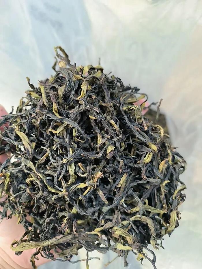 凤凰单丛茶鸭屎香是属于什么茶