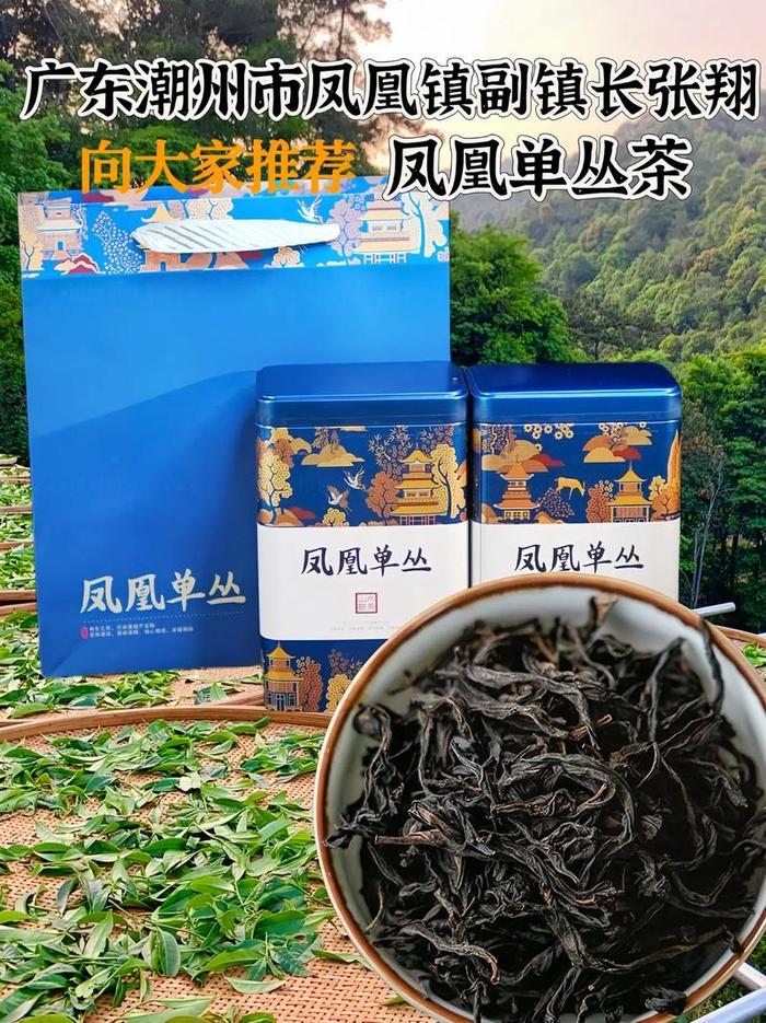 凤凰单丛茶冲泡方法,鸭屎香茶叶多少钱一斤