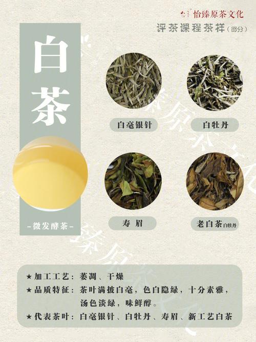 乌龙茶白茶属于哪种茶