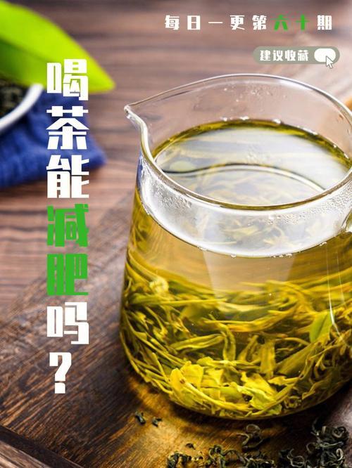 减肥期间可以喝统一绿茶吗会胖吗