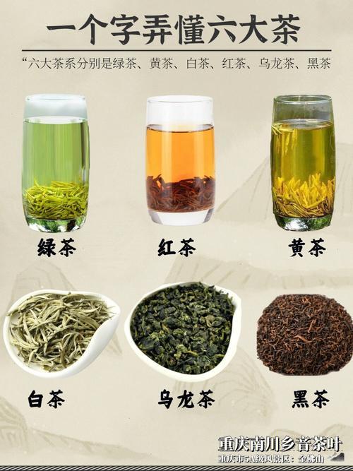 绿茶龙井红茶哪个是发酵茶类