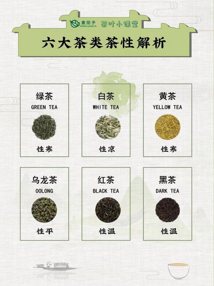 绿茶是什么茶包括什么茶