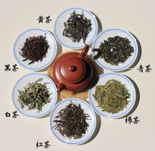 普洱生茶是属于绿茶吗还是红茶