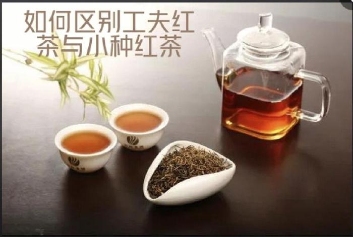 小种红茶和功夫红茶的区别是什么