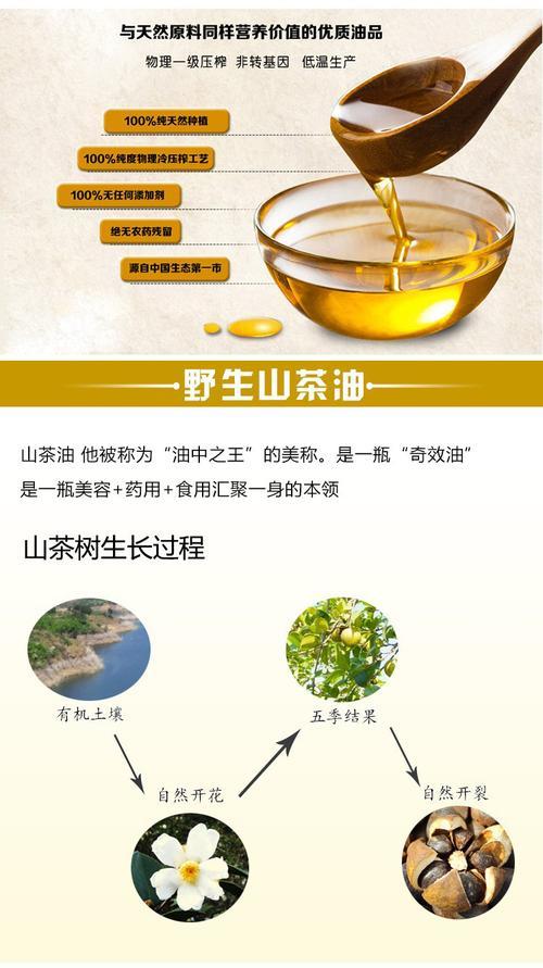 正宗茶油的功效与作用是什么
