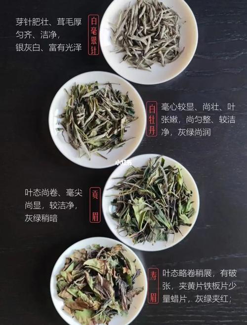白茶有哪些品种排名l,白茶有哪些品种排名以及产地