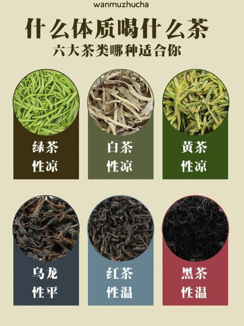 红茶和绿茶的区别功效哪个减肥