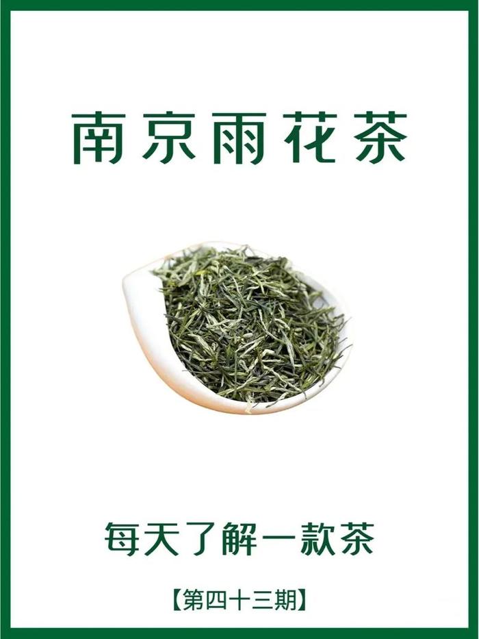 南京雨花茶的工艺特点,南京雨花茶属于什么外形名茶