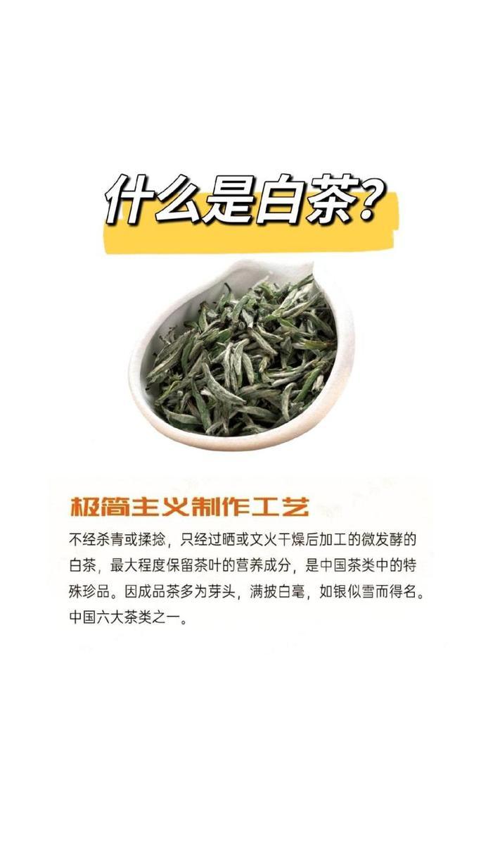 发酵白茶的功效与作用及禁忌