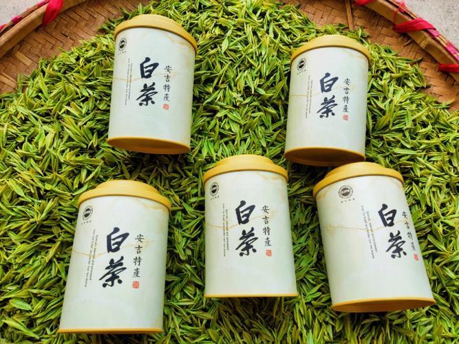 安吉白茶最好的产地溪龙,安吉溪龙白茶交易市场怎么去