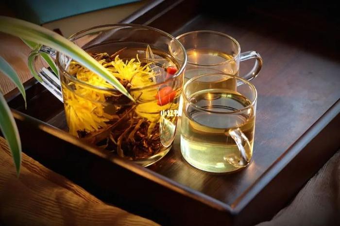 菊花苦丁茶有什么作用和功效禁忌