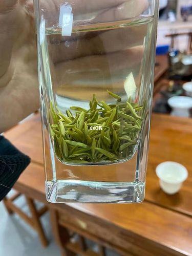 竹叶青是素茶吗还是生茶