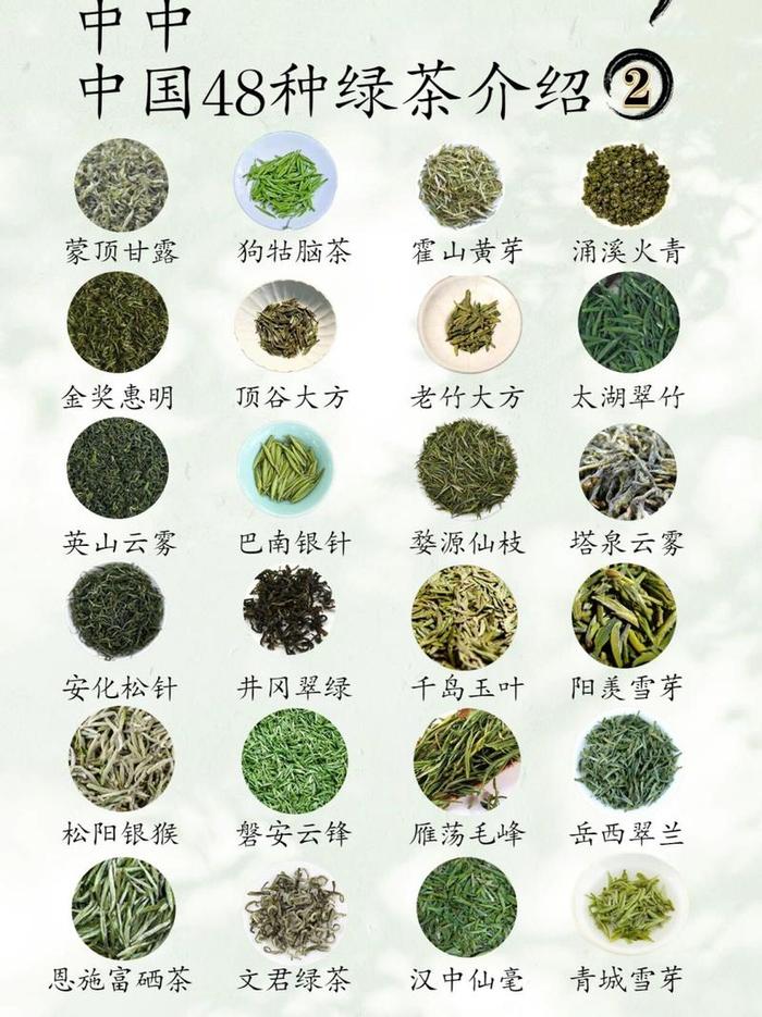 绿茶的四大种类及代表茶类