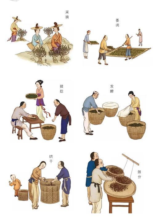 祁门红茶制作工艺流程