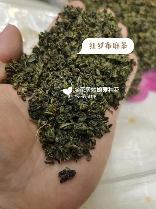 罗布麻茶多少钱一斤