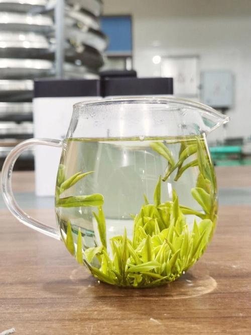 安吉白茶是绿茶还是白茶,安吉白茶多少钱一斤2023