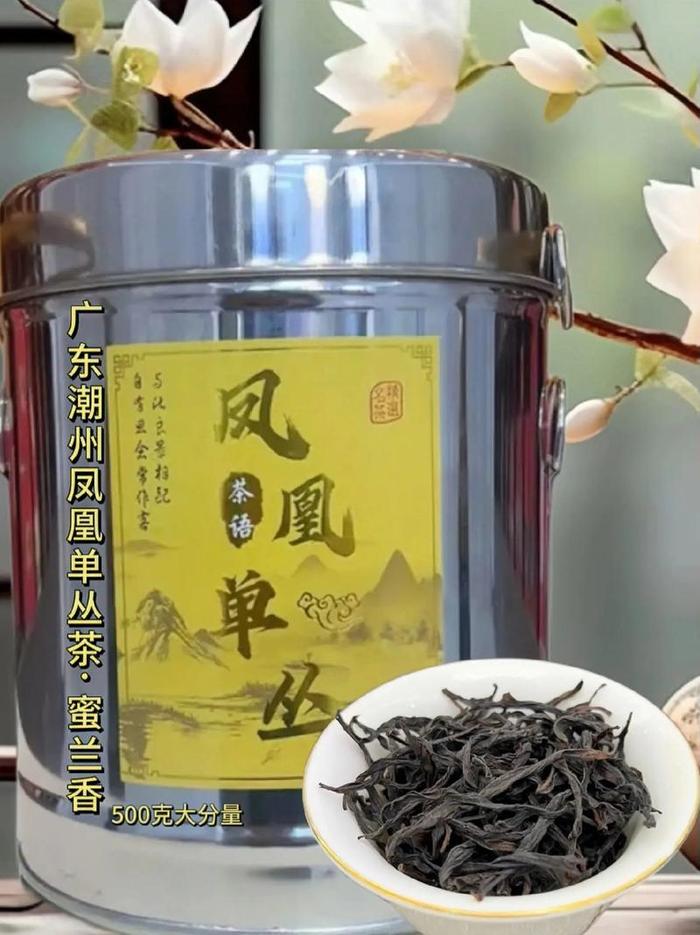 凤凰单丛茶属于啥茶