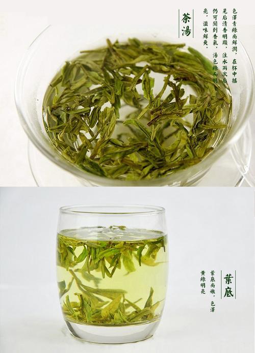 龙井茶是绿茶吗的功效与作用及禁忌