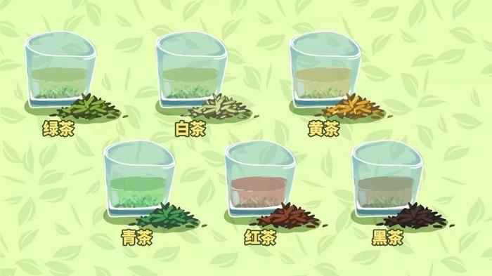 青茶和绿茶的区别是啥呢