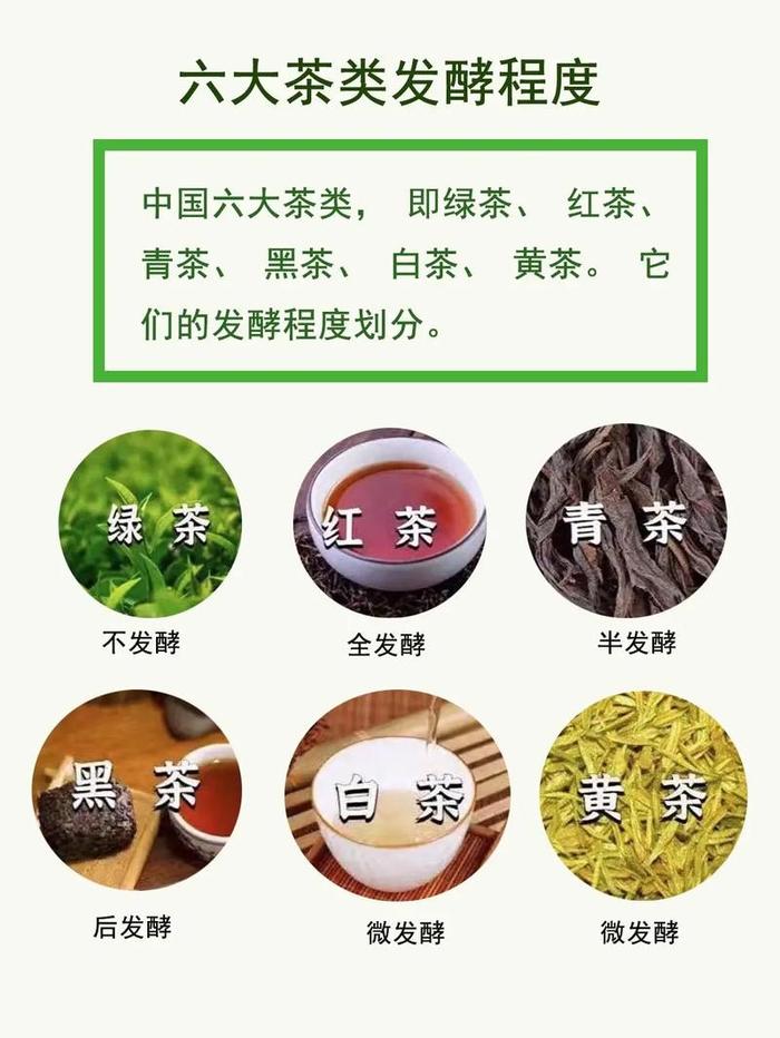 青茶的发酵程度是多少