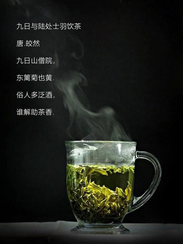 经典茶语一茶一语的诗