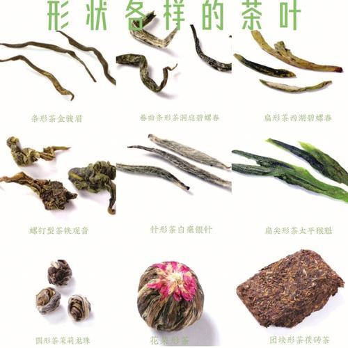 张家界毛尖茶的功效与作用,张家界芽尖属于红茶还是绿茶